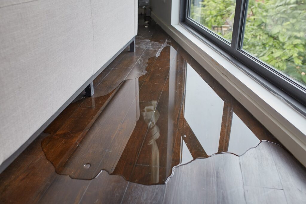 leak on hardwood floor